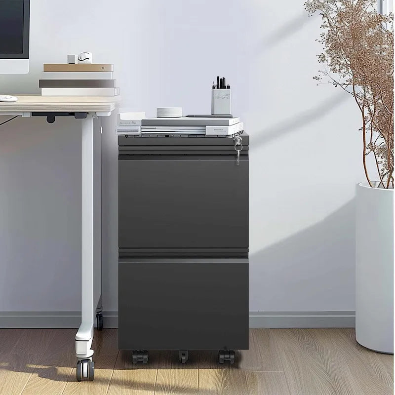 Classificatore metallico mobile a 2 cassetti con serratura