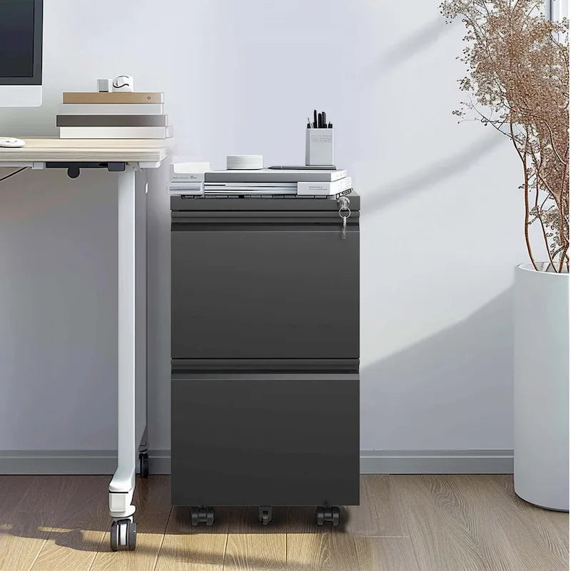 Classificatore metallico mobile a 2 cassetti con serratura