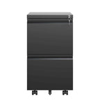 Classificatore metallico mobile a 2 cassetti con serratura