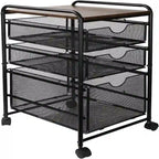 Carrelli portadocumenti a cassetti - 12P x 17L x 25A